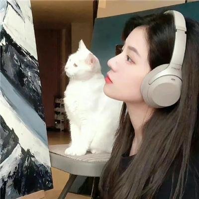熊猫大侠